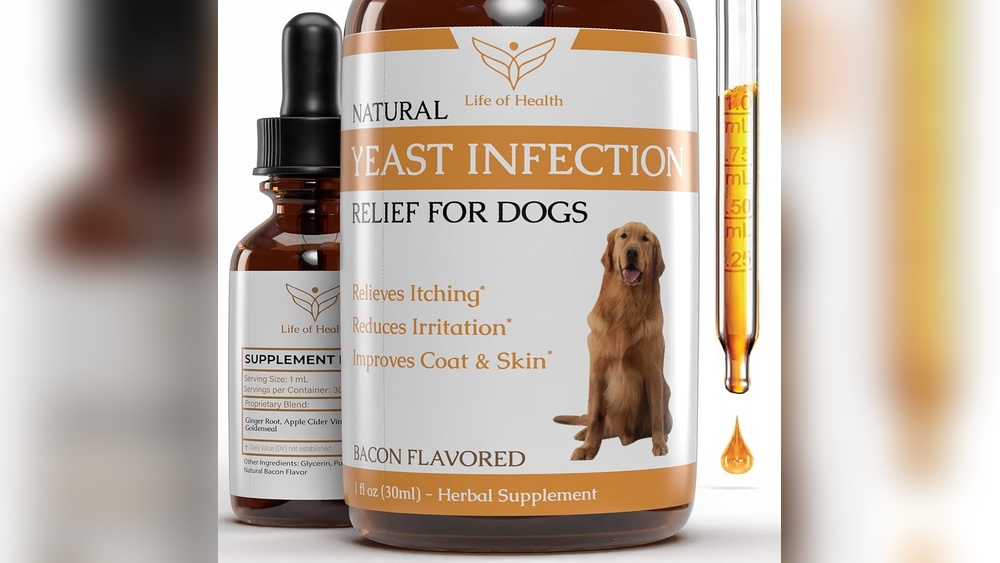 Best Product for Dog Yeast Infection