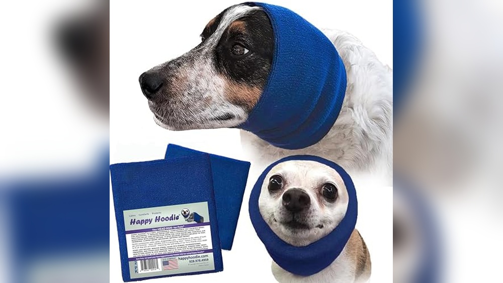 Best Protection Dogs for Sale