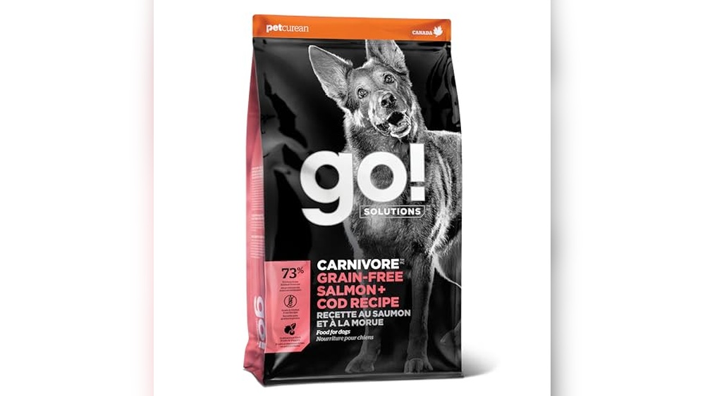 Best Protein-Rich Salmon Dry Dog Food Brands