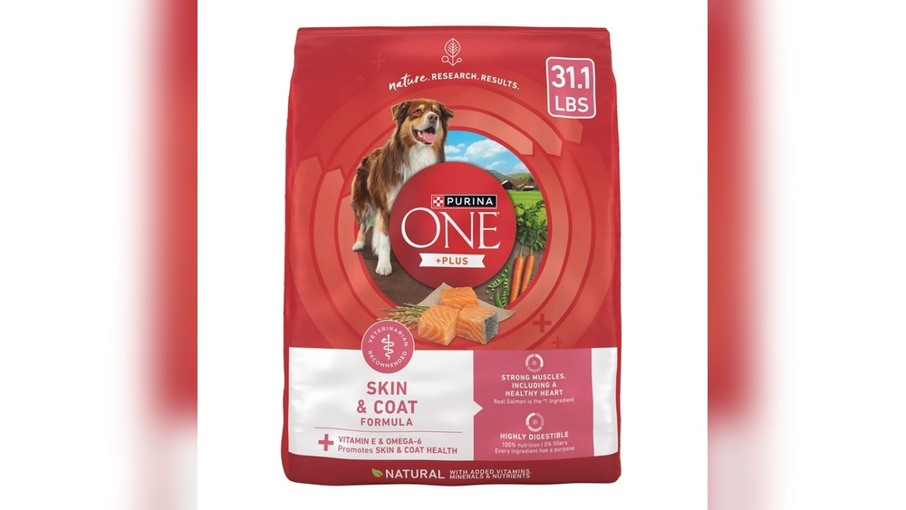 Best Protein-Rich Salmon Dry Dog Food Brands