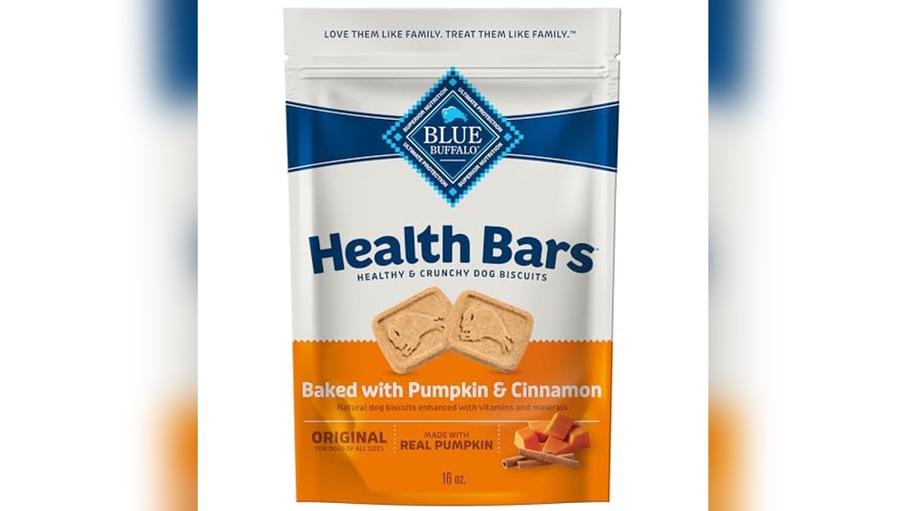 Best Pumpkin Treats for Dogs