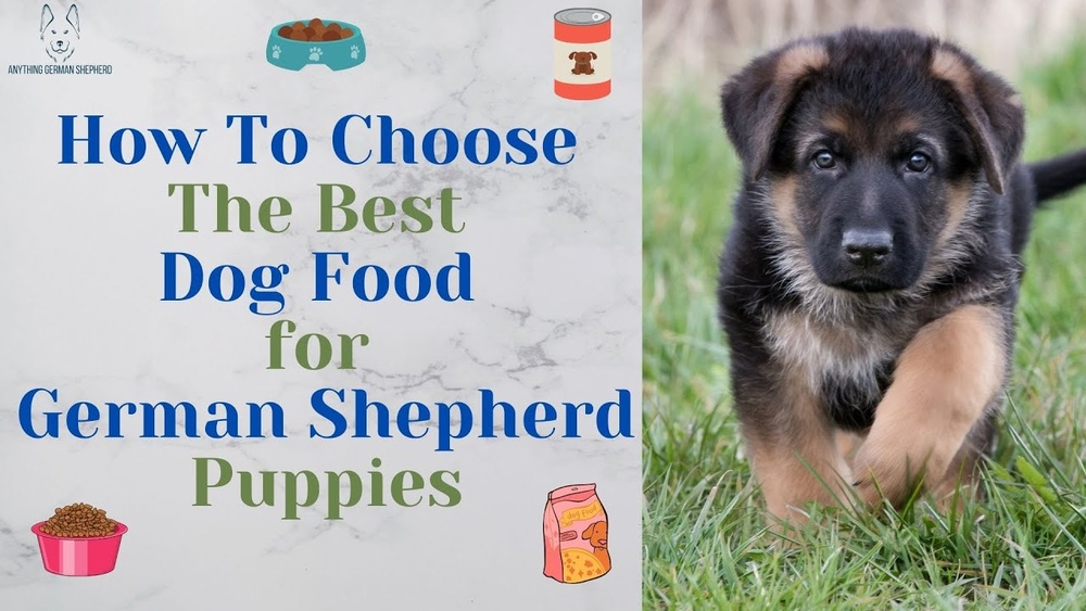 Best Puppy Dog Food for German Shepherds