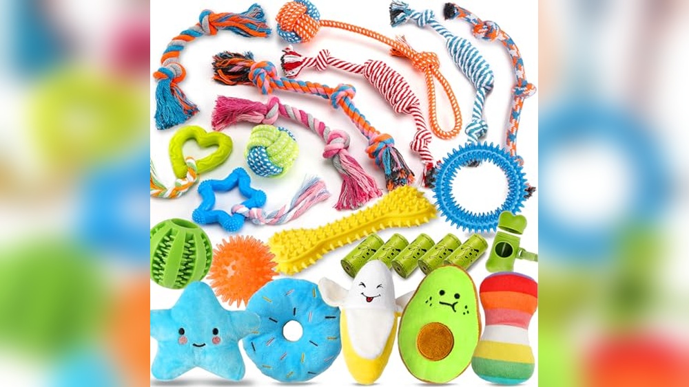Best Puppy Toys for Small Dogs