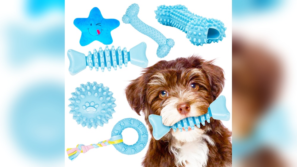 Best Puppy Toys for Small Dogs: Top Picks for Endless Fun