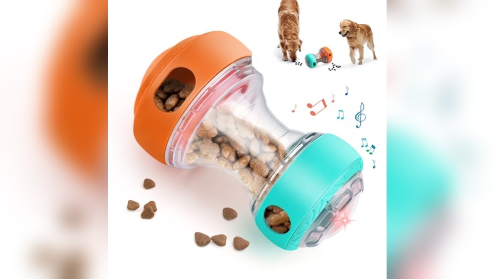 Best Puzzle Feeders for Dogs 2024