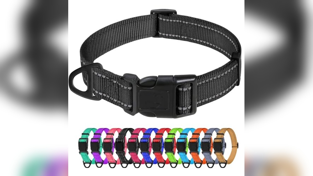 Best Quick Release Dog Collar