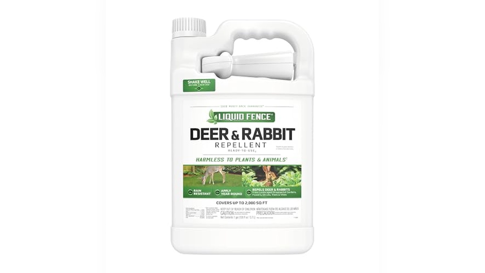 Best Rabbit Repellent Safe for Dogs