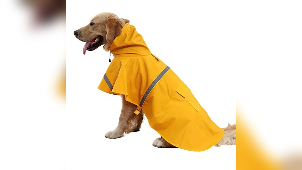 Best Raincoat for Large Dogs