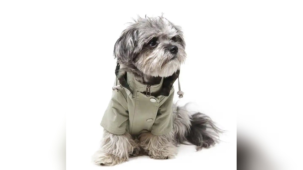 Best Raincoat for Small Dogs