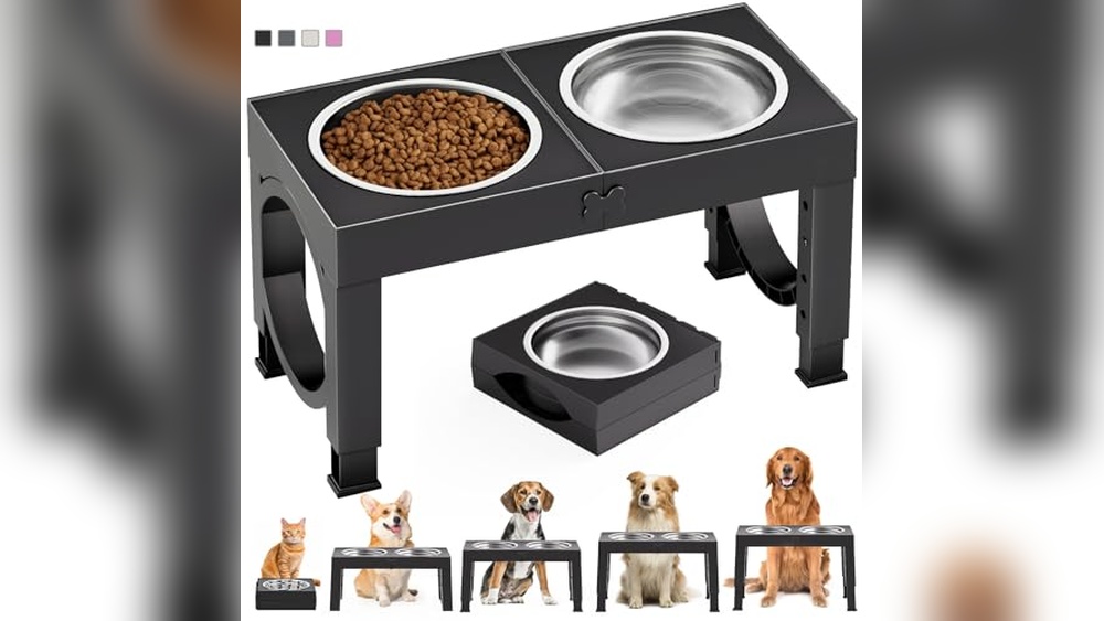 Best Raised Dog Food Bowls