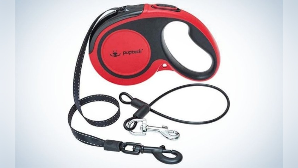 Best Retractable Dog Leash for Chewers
