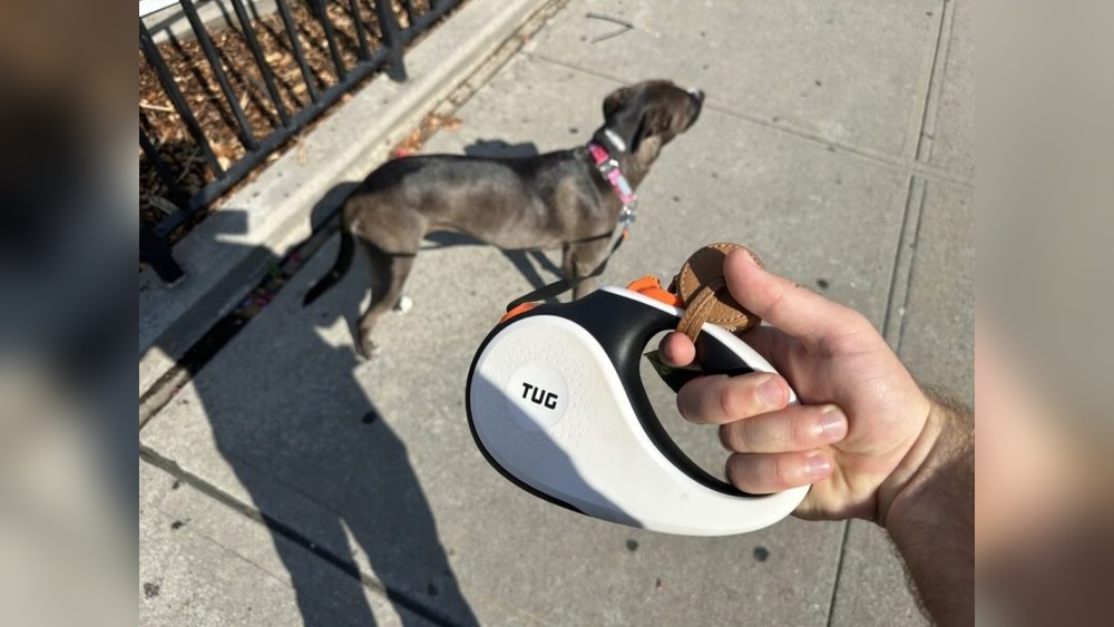 Best Retractable Dog Leash for Pullers