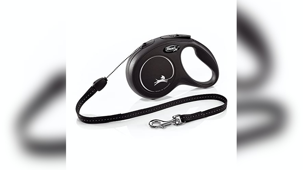 Best Retractable Dog Leash for Small Dogs