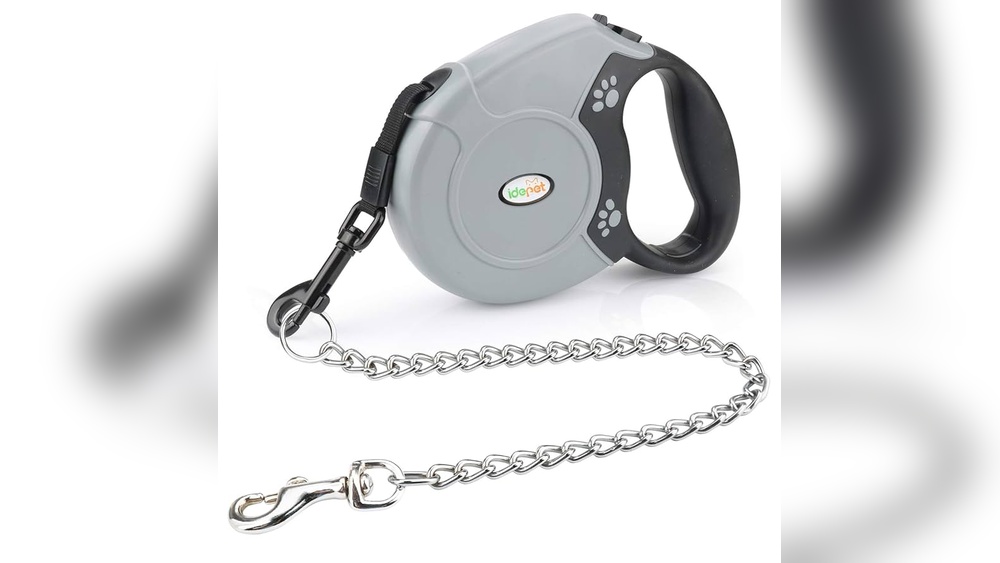 Best Retractable Dog Leash for Small Dogs