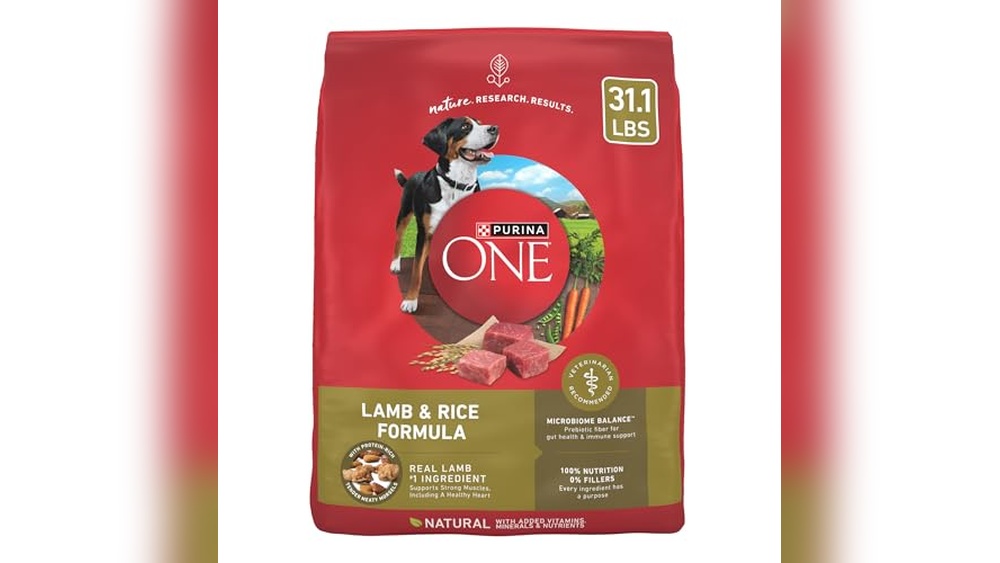 Best Rice for Dog Food