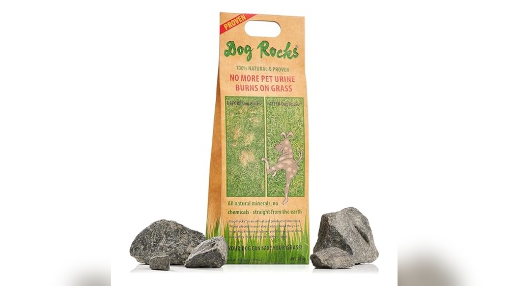 Best Rock for Dogs to Walk on