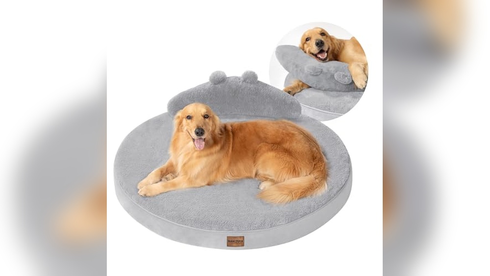 Best Round Dog Beds for Large Dogs