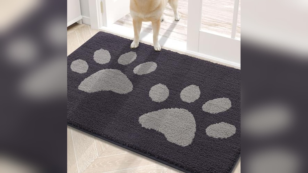 Best Rug for Dog Hair