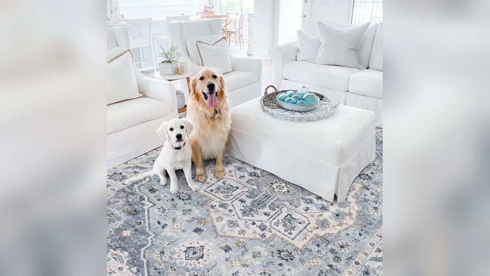 Best Rug for Dog Hair