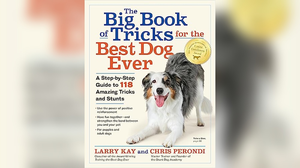 Best Selling Dog Training Books
