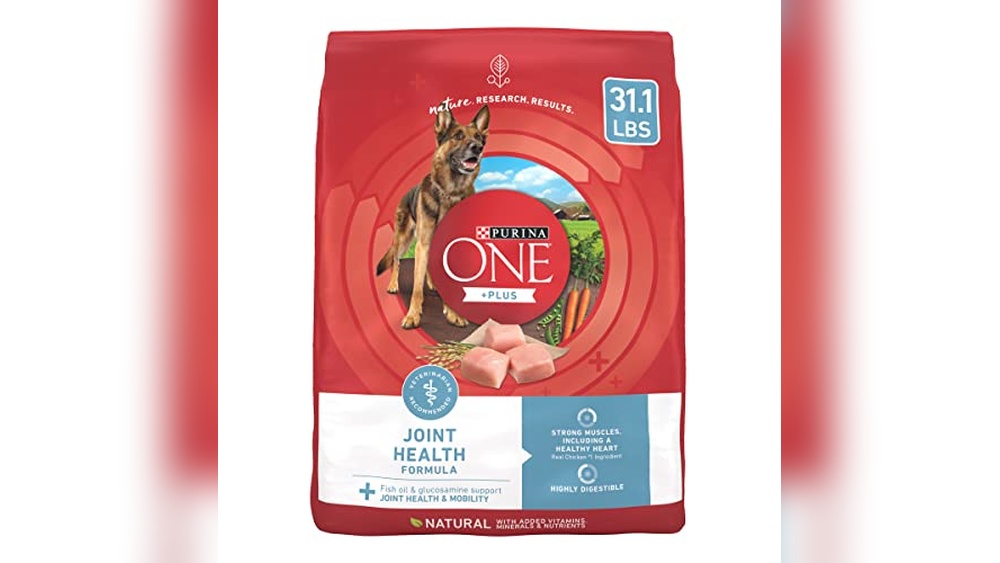 Best Senior Dog Food for Joints