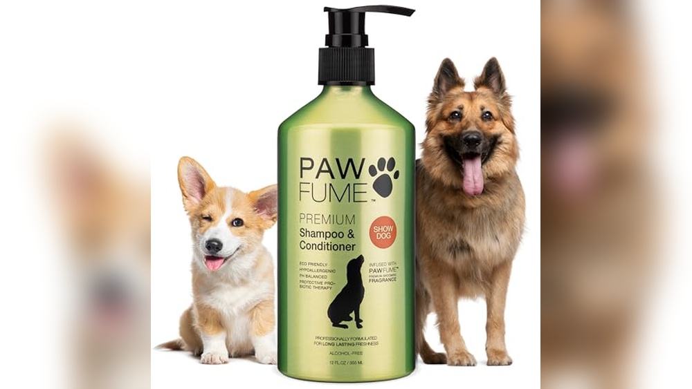 Best Shampoo And Conditioner for Long Hair Dogs