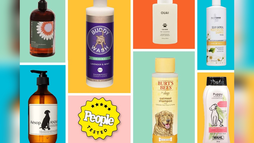 Best Shampoo And Conditioner for Long Hair Dogs: Ultimate Care Guide