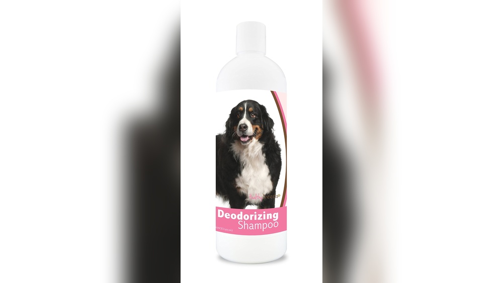 Best Shampoo for Bernese Mountain Dog