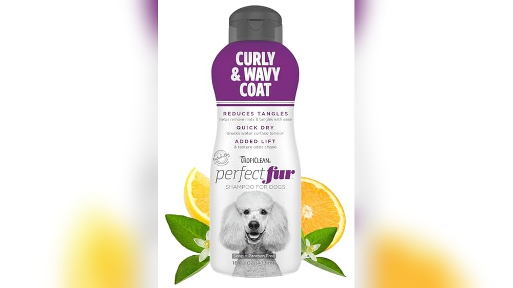 Best Shampoo for Curly Dogs