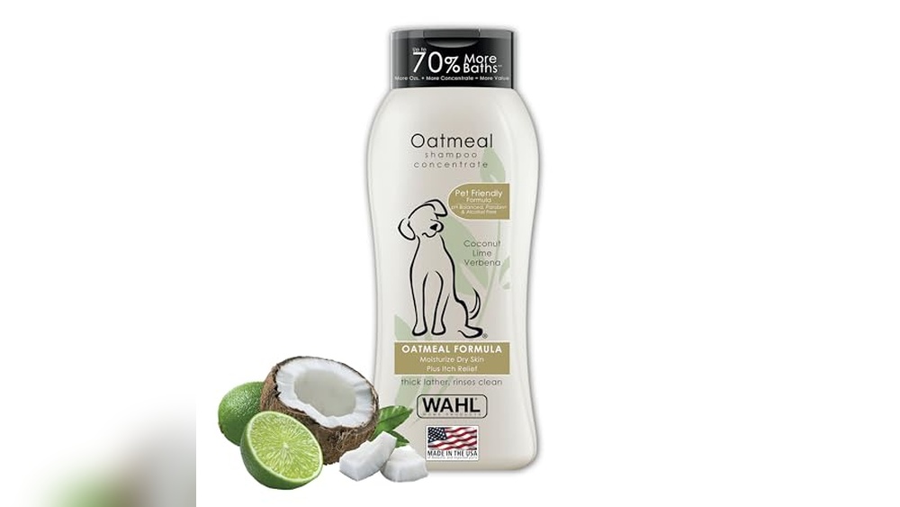 Best Shampoo for Dogs With Allergies And Itchy Skin
