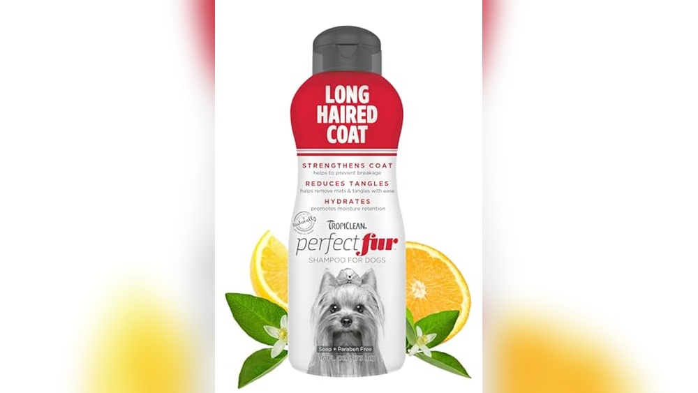 Best Shampoo for Long Haired Dogs