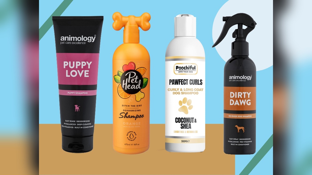 Best Shampoo for Long Haired Dogs