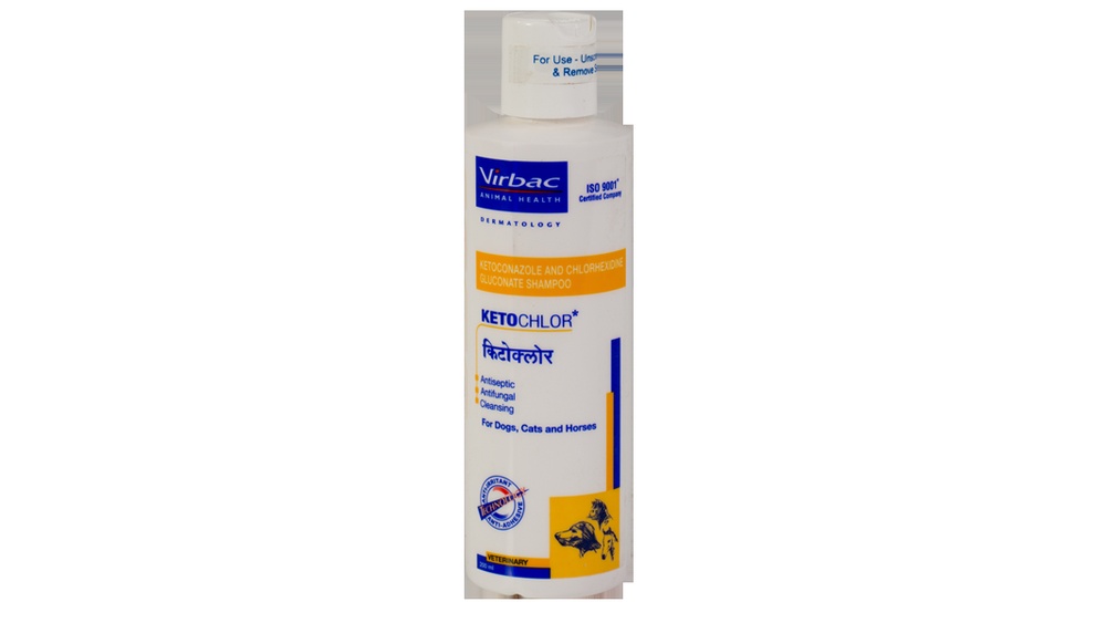 Best Shampoo for Scabies in Dogs