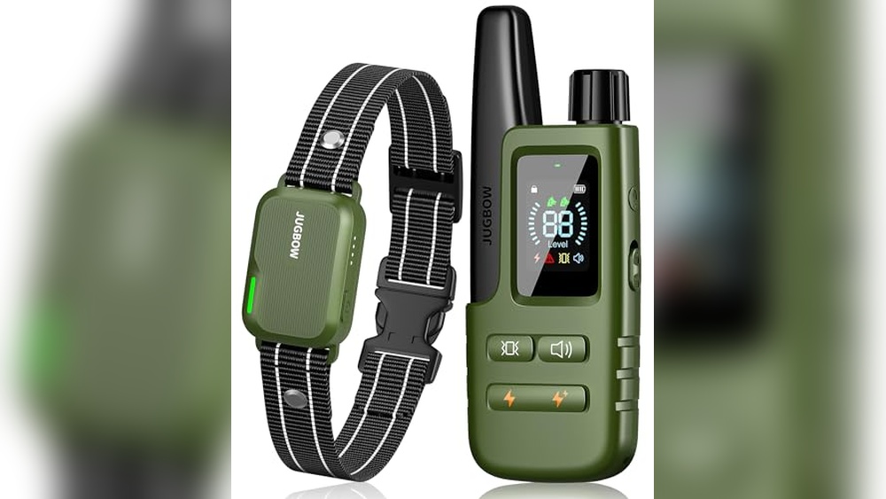 Best Shock Collar for Dog