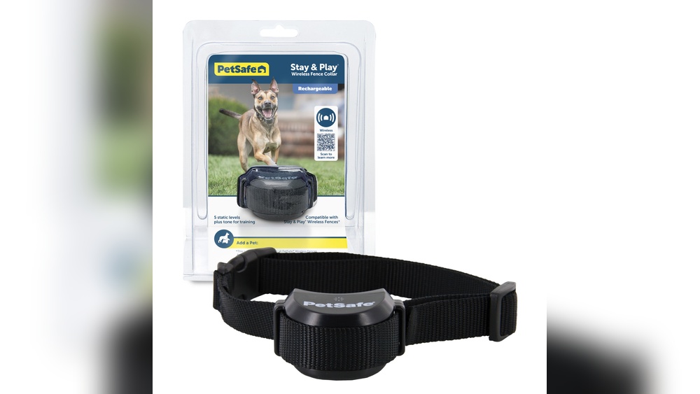 Best Shock Collar for Dogs That Run Away