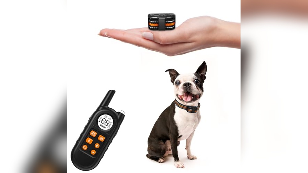 Best Shock Collar for Extra Small Dogs