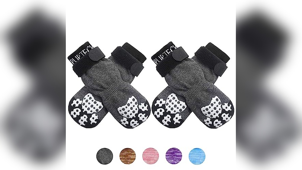 Best Shoes for Dogs That Stay on