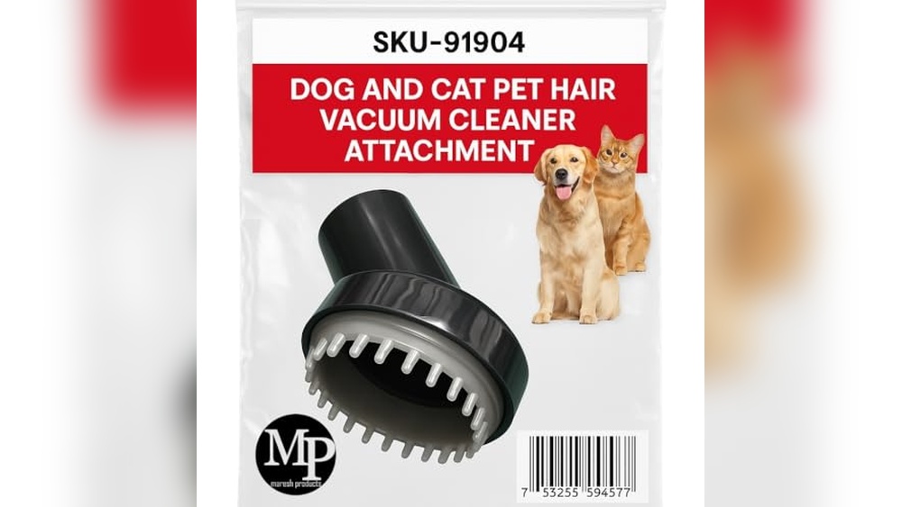 Best Shop Vac for Dog Hair in Car