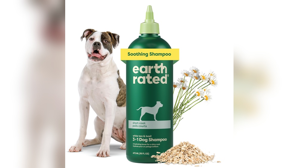 Best Short Hair Dog Shampoo
