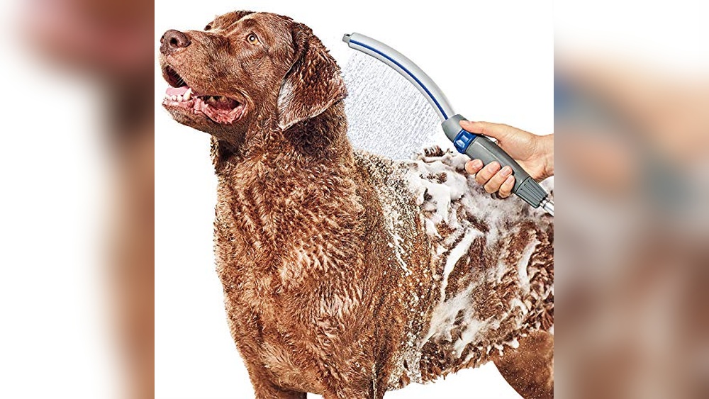 Best Shower Head for Dog Washing