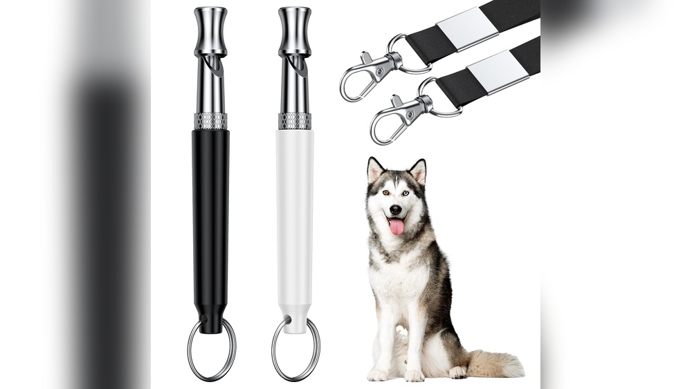 Best Silent Dog Whistle to Stop Barking
