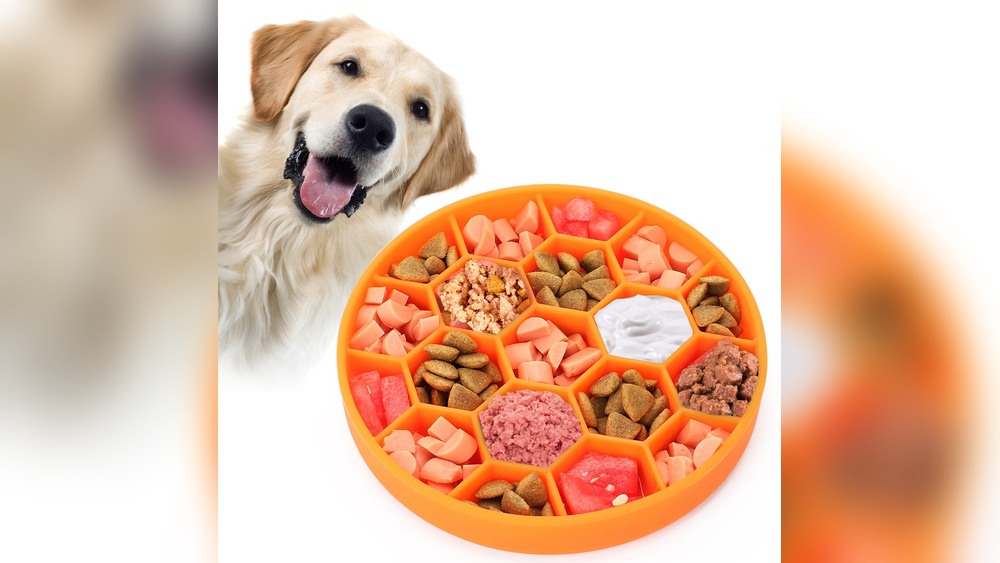 Best Slow Feeder Dog Bowl for Large Dogs: Top Picks Reviewed