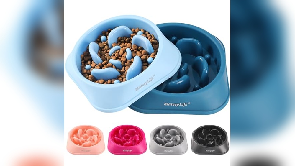Best Slow Feeders for Dogs