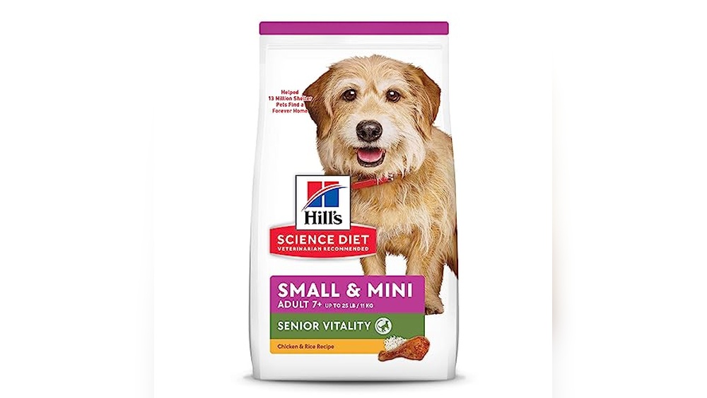 Best Small Breed Dog for Seniors