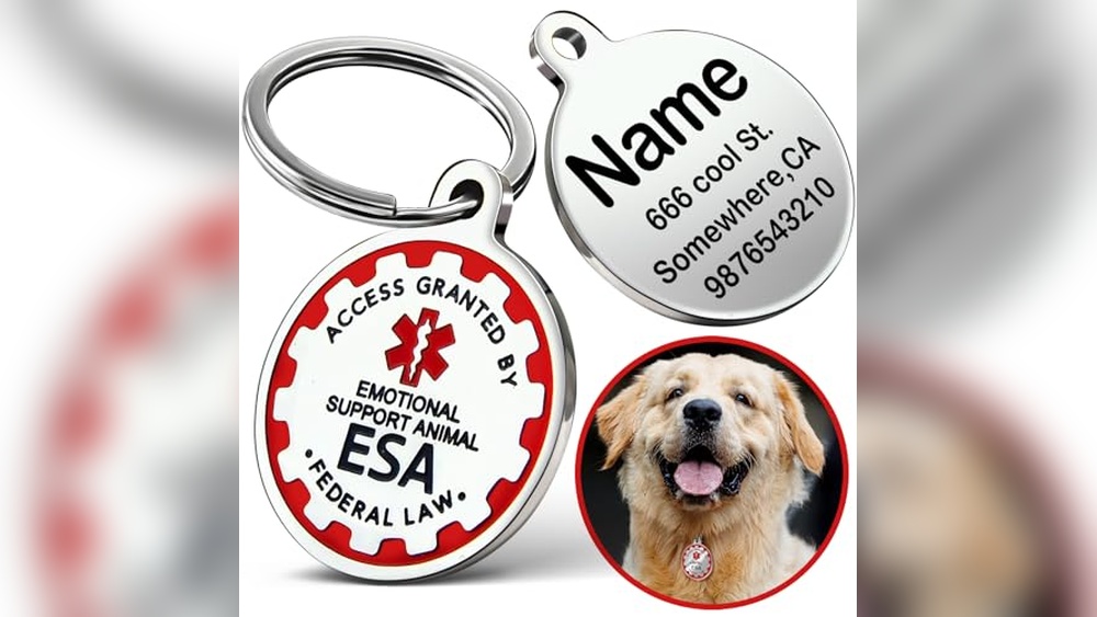 Best Small Breeds for Therapy Dogs