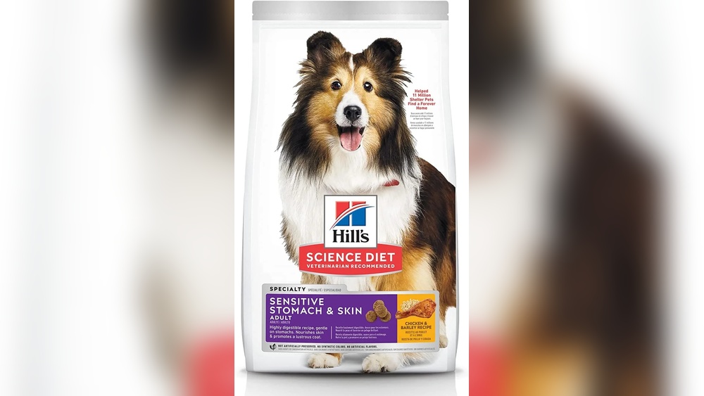 Best Small Dog Food for Picky Eaters