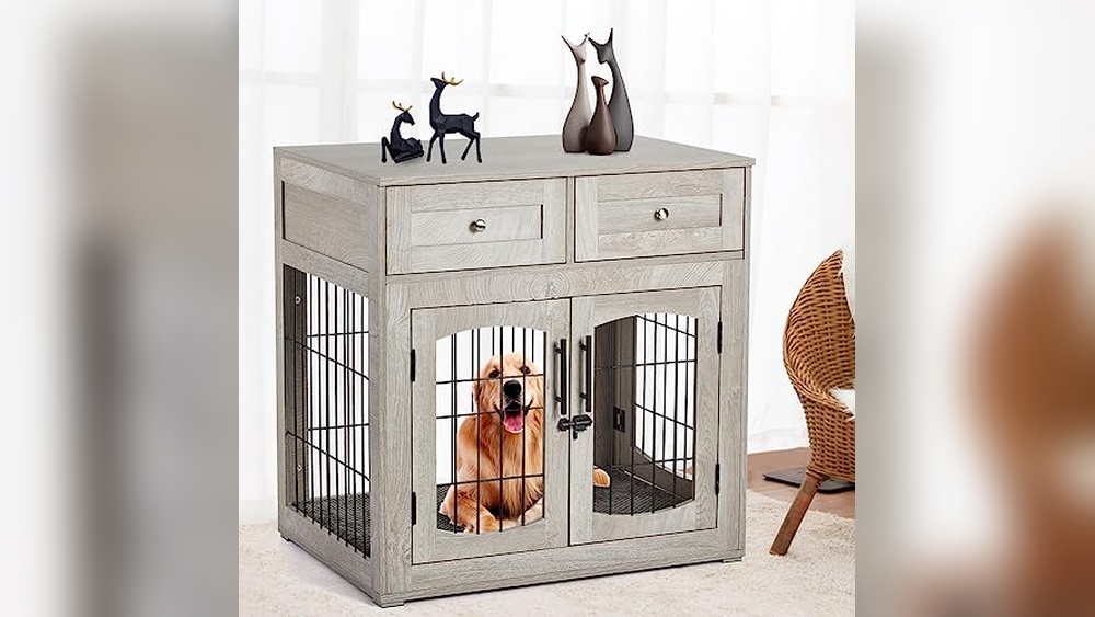 Best Small Dog for Apartment Living