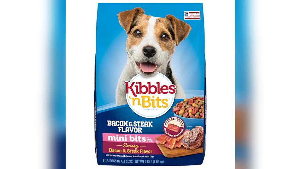 Best Small Dogs for Men