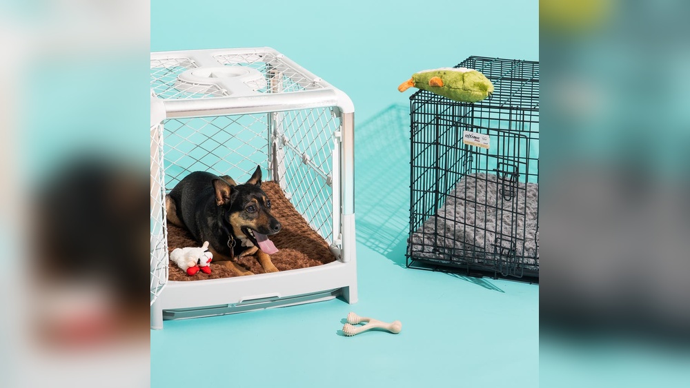 Best Soft Crate for Dogs