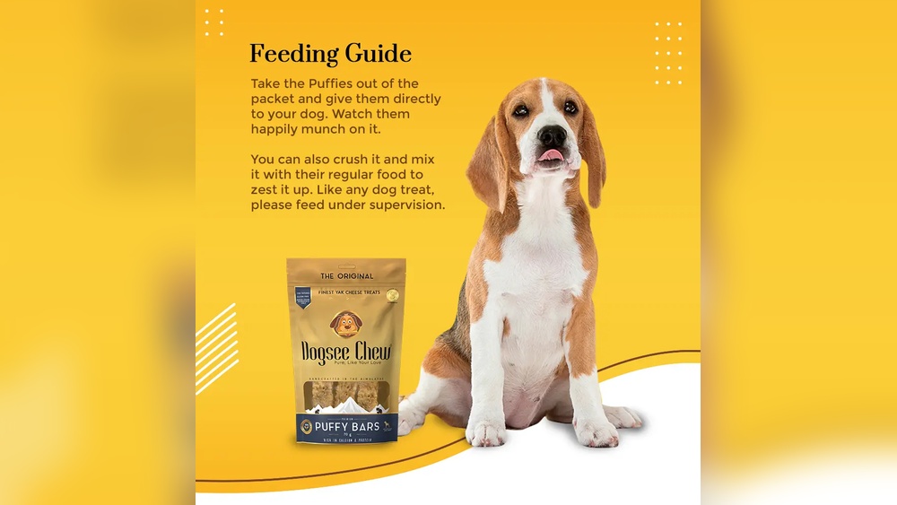 Best Soft Dental Chews for Senior Dogs
